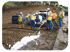 Tree/Brush Butting