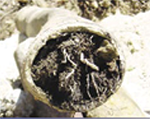 Sewer Cleaning