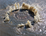 Sewer Cleaning
