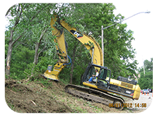 Tree/Brush Butting