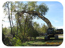 Tree/Brush Butting