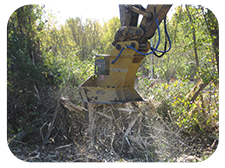Tree/Brush Butting